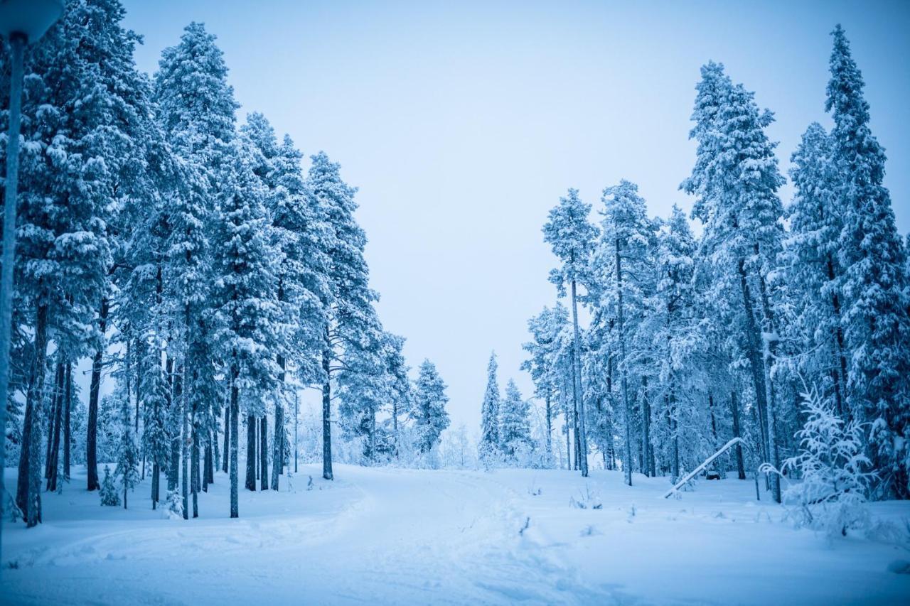 Jeris Lakeside Resort Muonio Kültér fotó